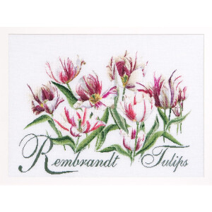 Thea Gouverneur counted cross stitch kit "Rembrandt Tulips Aida", 59x43cm, DIY
