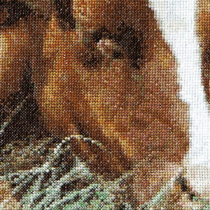 Thea Gouverneur kit punto croce "Mucca Rossa Aida", 45x70cm