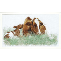 На описанных вами картинах из набора для вышивания Thea Gouverneur изображен гармоничный мотив коровы-матери и ее теленка, отдыхающих вместе в зеленой траве. Корова с коричнево-белыми пятнами расслабленно лежит с закрытыми глазами, а теленок прижимается к ее телу. Фон дизайна выполнен в белом цвете, чтобы привлечь внимание к любовной сцене между двумя животными, и, поскольку это набор для вышивания, эти прекрасные картины должны быть сначала вышиты. В набор, скорее всего, входят все необходимые материалы, такие как ткань, нитки и инструкции с соответствующим планом рисунка. Это позволит вам шаг за шагом создать потрясающее произведение искусства и одновременно посвятить время интересному хобби. Не может быть лучшего способа запечатлеть такой интимный момент между мамой и малышом, чем кропотливое мастерство вышивки. Наслаждайтесь вышивкой!
