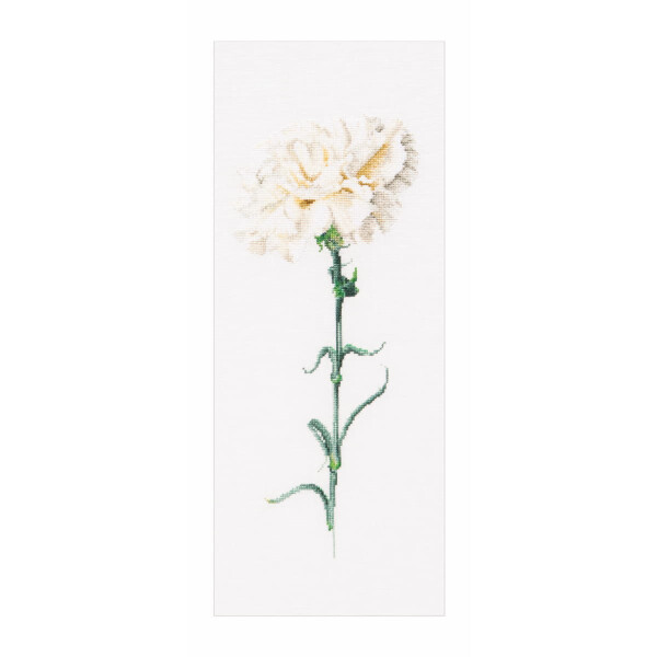 Thea Gouverneur counted cross stitch kit "Carnation White Aida", 17x42cm, DIY