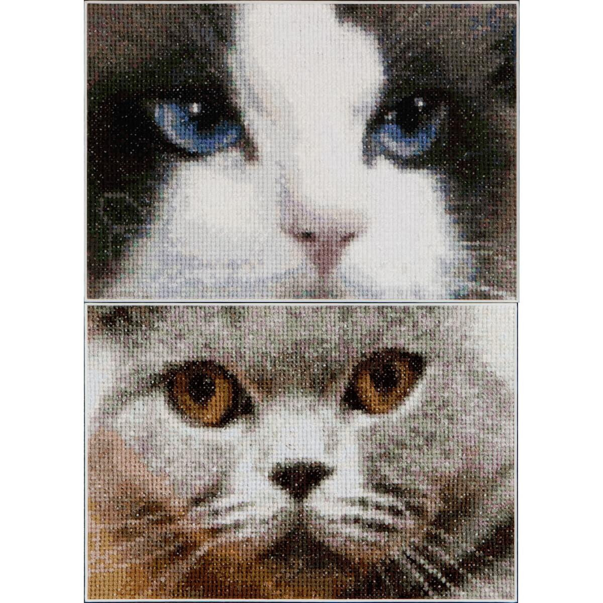 Thea Gouverneur kit punto croce "Cats Smokey + Blu...