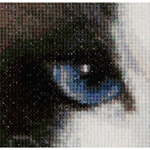 Thea Gouverneur counted cross stitch kit "Cats Smokey + Blu Aida", 17x12cm, DIY