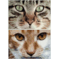 Thea Gouverneur counted cross stitch kit "Cats Tess + Simba Aida", 17x12cm, DIY