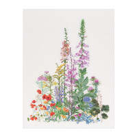 Thea Gouverneur telpakket "American Wild Flowers Aida", 50x67cm