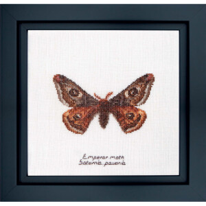 Thea Gouverneur counted cross stitch kit "Emperor moth Aida", 21x21cm, DIY