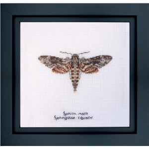 Thea Gouverneur counted cross stitch kit "Sphinx moth Aida", 21x21cm, DIY