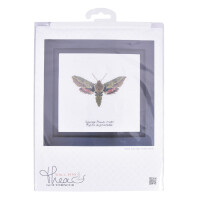 Thea Gouverneur counted cross stitch kit "Spurge Hawk moth Aida", 21x21cm, DIY