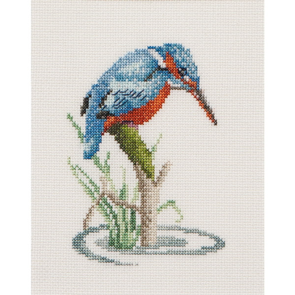 Thea Gouverneur counted cross stitch kit "Kingfisher Aida", 13x16cm, DIY