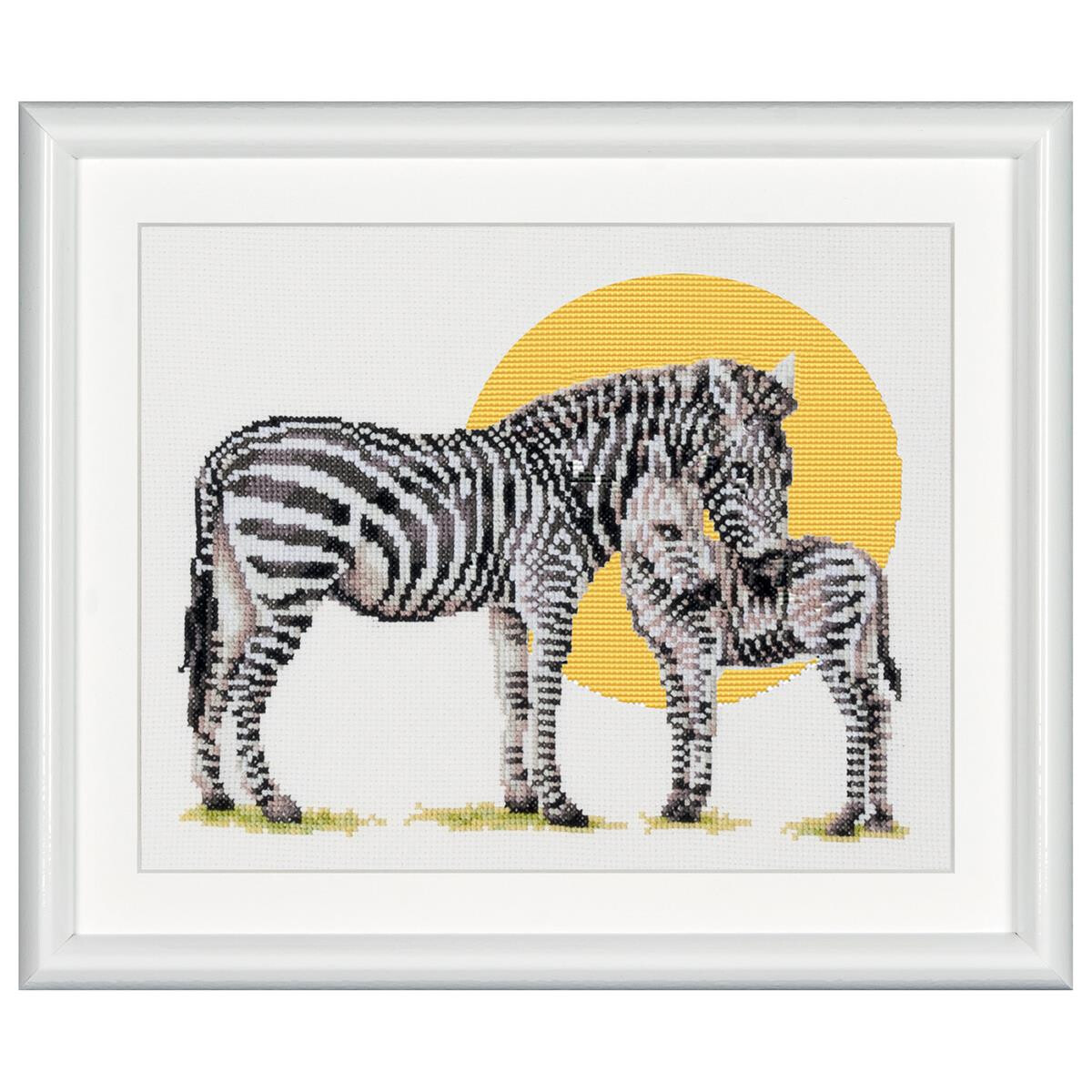 Kit punto croce Dutch Stitch Brothers "Safari Zebra...