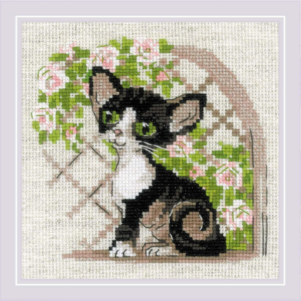 Kit punto croce Riolis "Cornish Rex Kitten", 15x15 cm