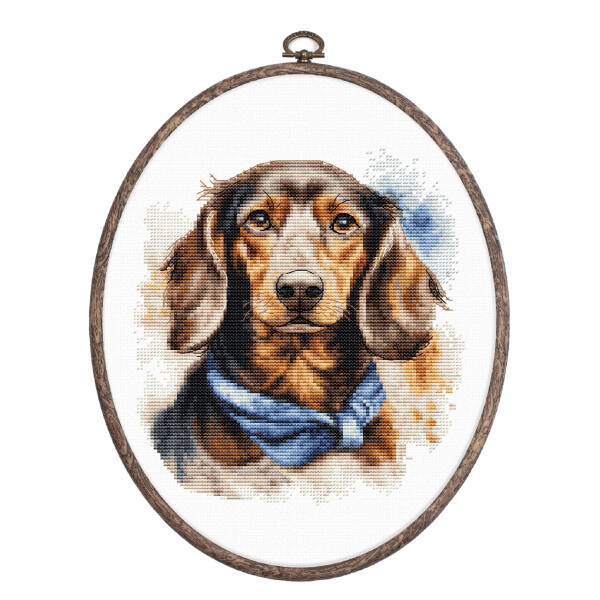 Luca-S counted cross stitch kit with hoop "The Dachshund", 16x17cm, DIY