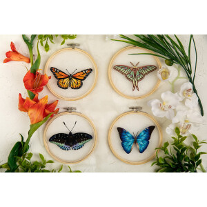 Panna stamped satin stitch kit on Organza with wooden hoop "Graellsia Isabellae Butterfly", 13x13cm, DIY