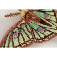 Panna Plattstich auf Organza Stickpackung mit Stickrahmen "Graellsia Isabellae Schmetterling", Stickbild vorgezeichnet, 13x13cm
