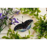 Panna Plattstich auf Organza Stickpackung mit Stickrahmen "Erzherzog Schmetterling", Stickbild vorgezeichnet, 13x13cm