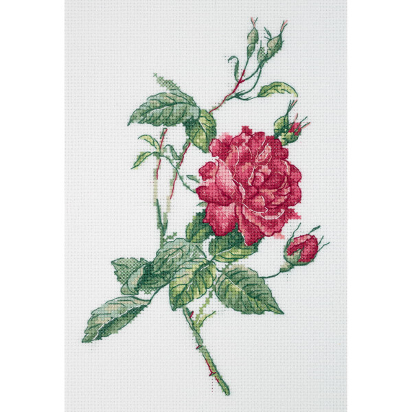 Klart counted cross stitch kit "Botany. Rose", 15x21,5cm, DIY