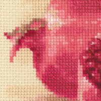 Riolis counted cross stitch Kit Pink Pomegranate, DIY