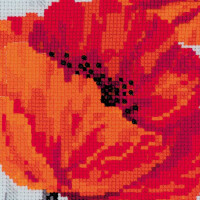 Riolis kruissteek set "Scarlet poppies", telpatroon