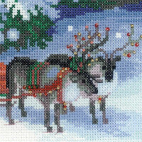 Riolis counted cross stitch Kit Christmas Eve, DIY