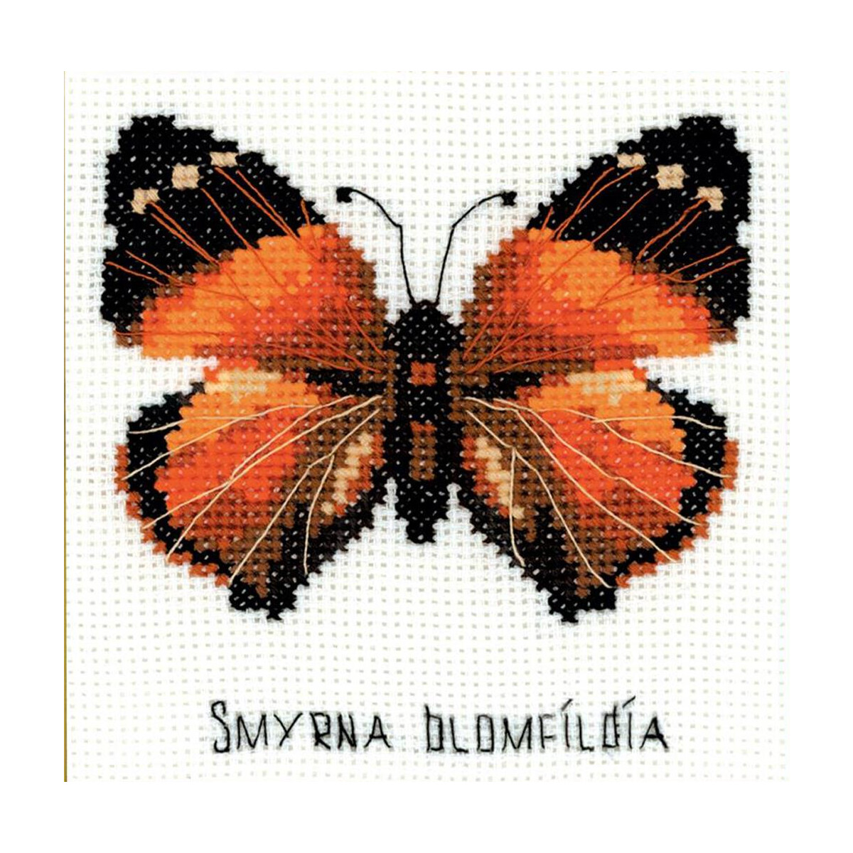 Riolis counted cross stitch Kit Nymphalidae Butterfly, DIY