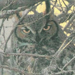 Set de punto de cruz Riolis "Eagle owl", patrón de conteo