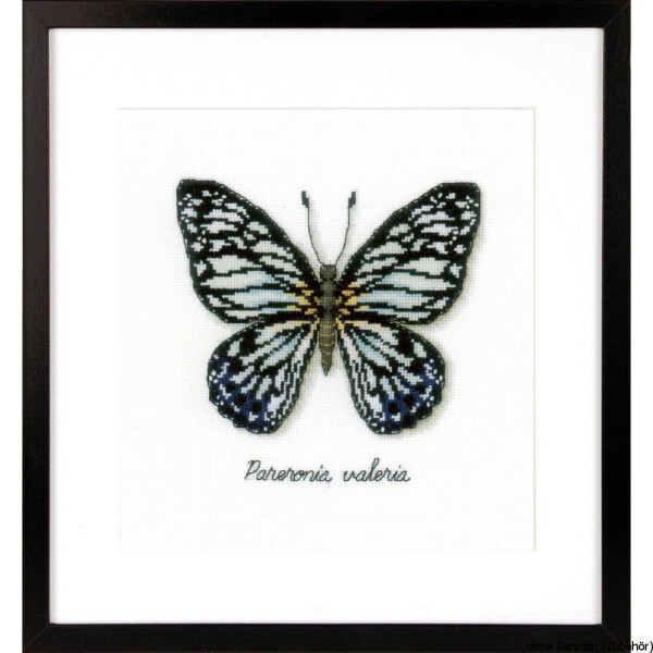 Vervaco borduurpakket telpatroon "blauwe vlinder