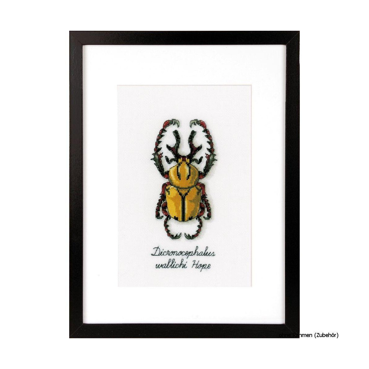 Vervaco Counted cross stitch kit LMV Golden beetle, DIY