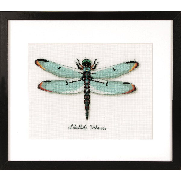Vervaco Counted cross stitch kit LMV Dragonfly, DIY