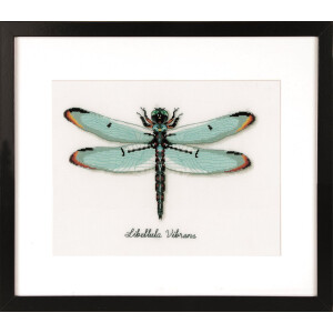 Vervaco Counted cross stitch kit LMV Dragonfly, DIY