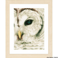 Lanarte cross stitch kit "Owl II" evenweave fabric, counted, DIY